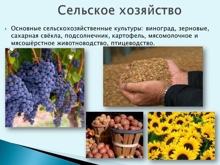 Отрасли специализации сельского хозяйства Грузии