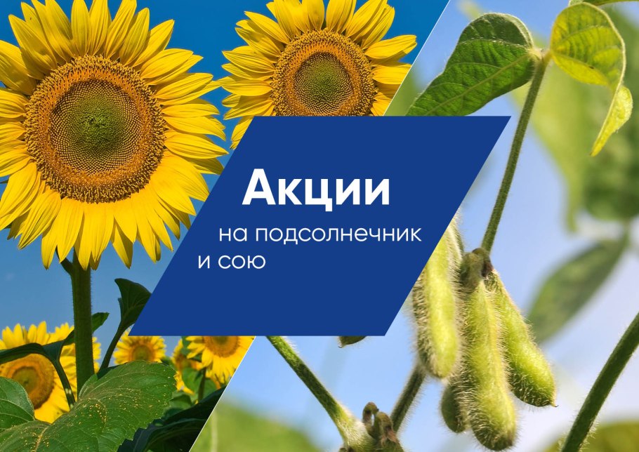 Жатка для уборки кукурузы на силос