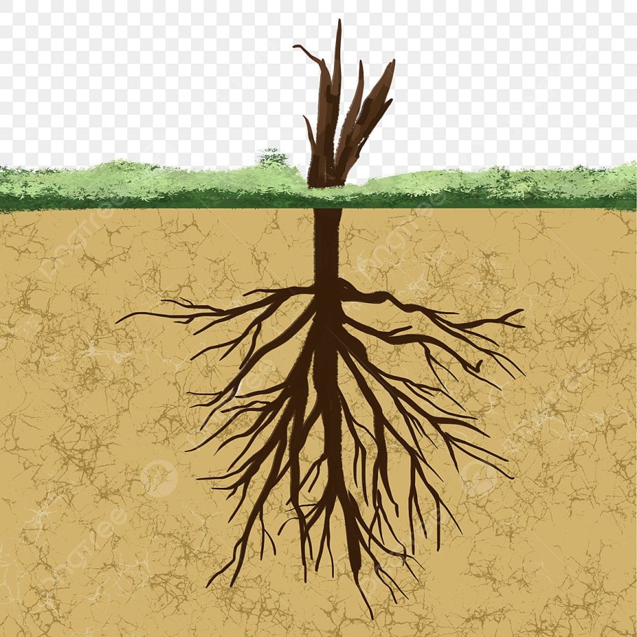 Рафал Олбински картина дерево