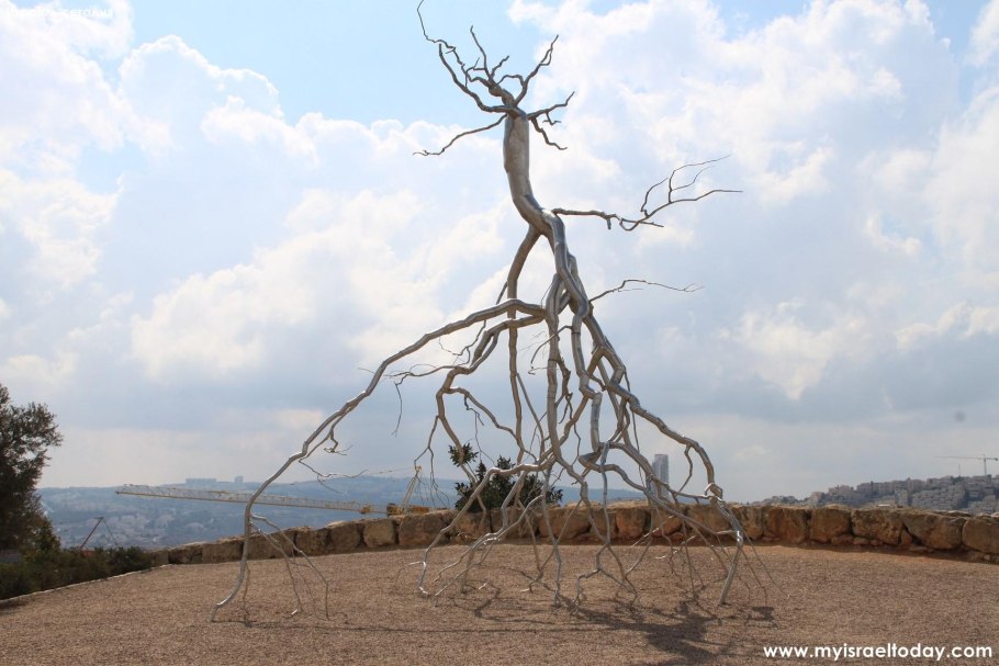 Дерево растущее корнями вверх