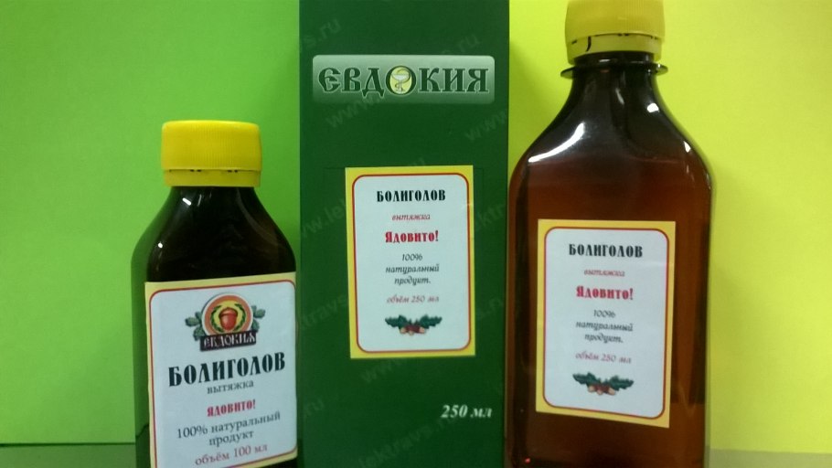 Болиголов пятнистый