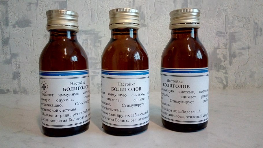 Болиголов