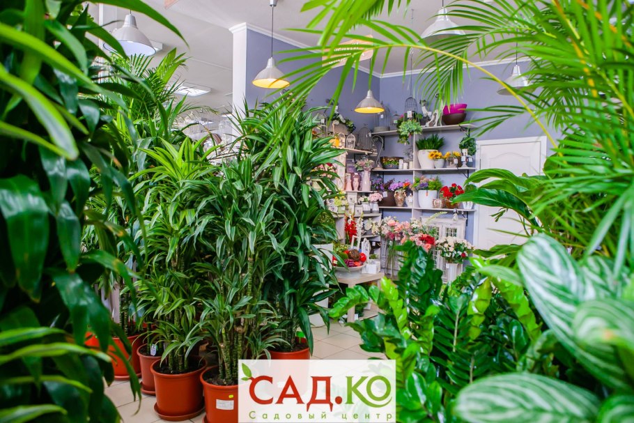 Кашпо Lechuza Квадро