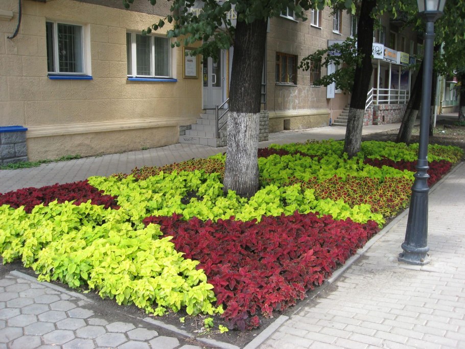 Зеленая Тюмень Озеленение