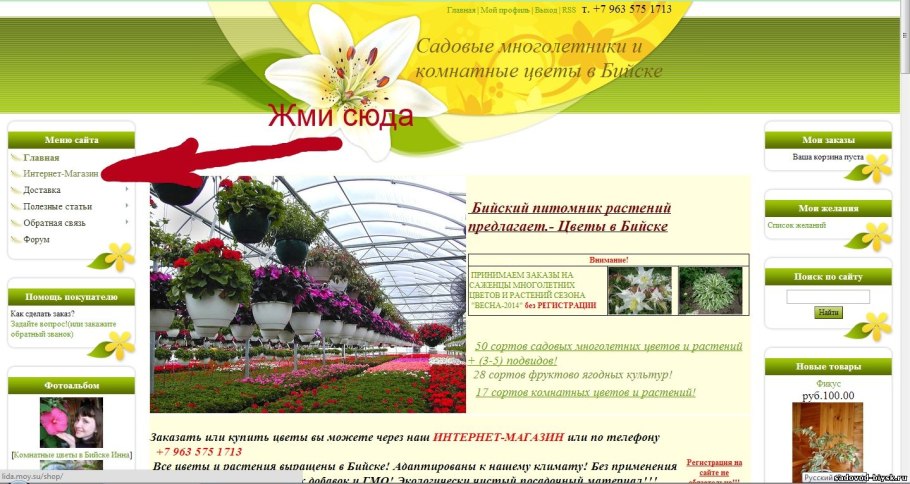 Туя Смарагд,можжевельник казацкий,Горная сосна-клумба