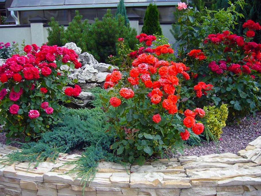 Село Чалтырь Мясниковский район Ростовская область