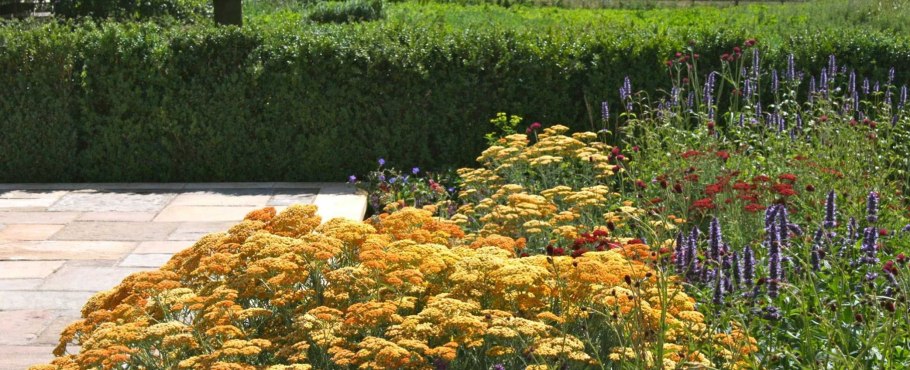 Схема рабатки непрерывного цветения