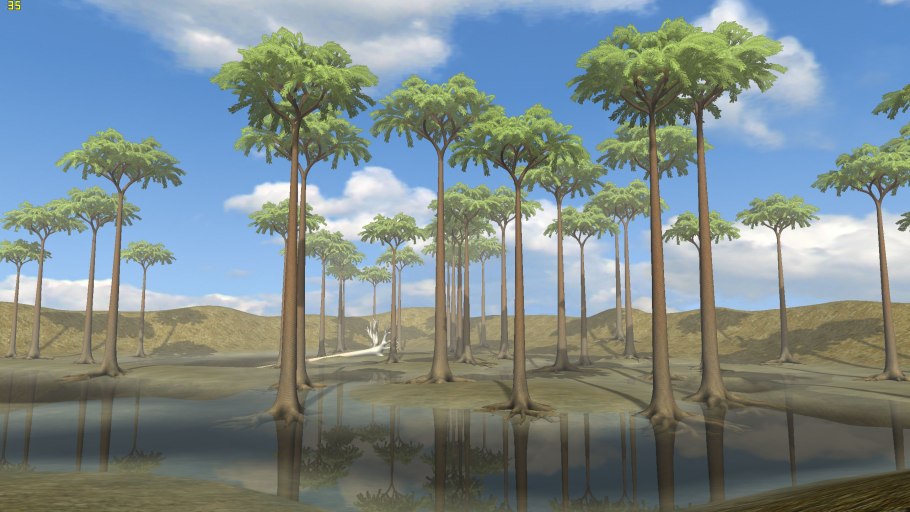 Саговник Цикас