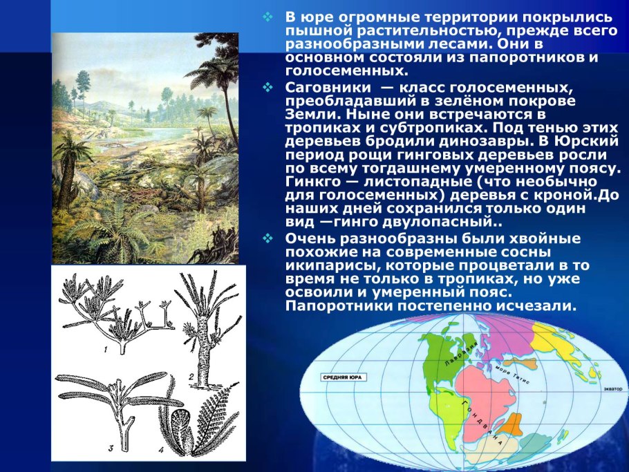 Лес Пермского периода