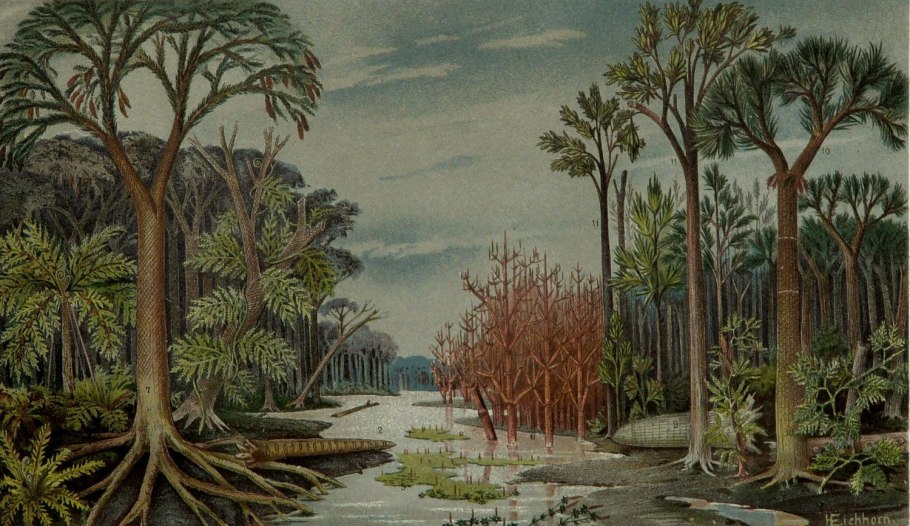 Мезозойская Эра Юрский период растения