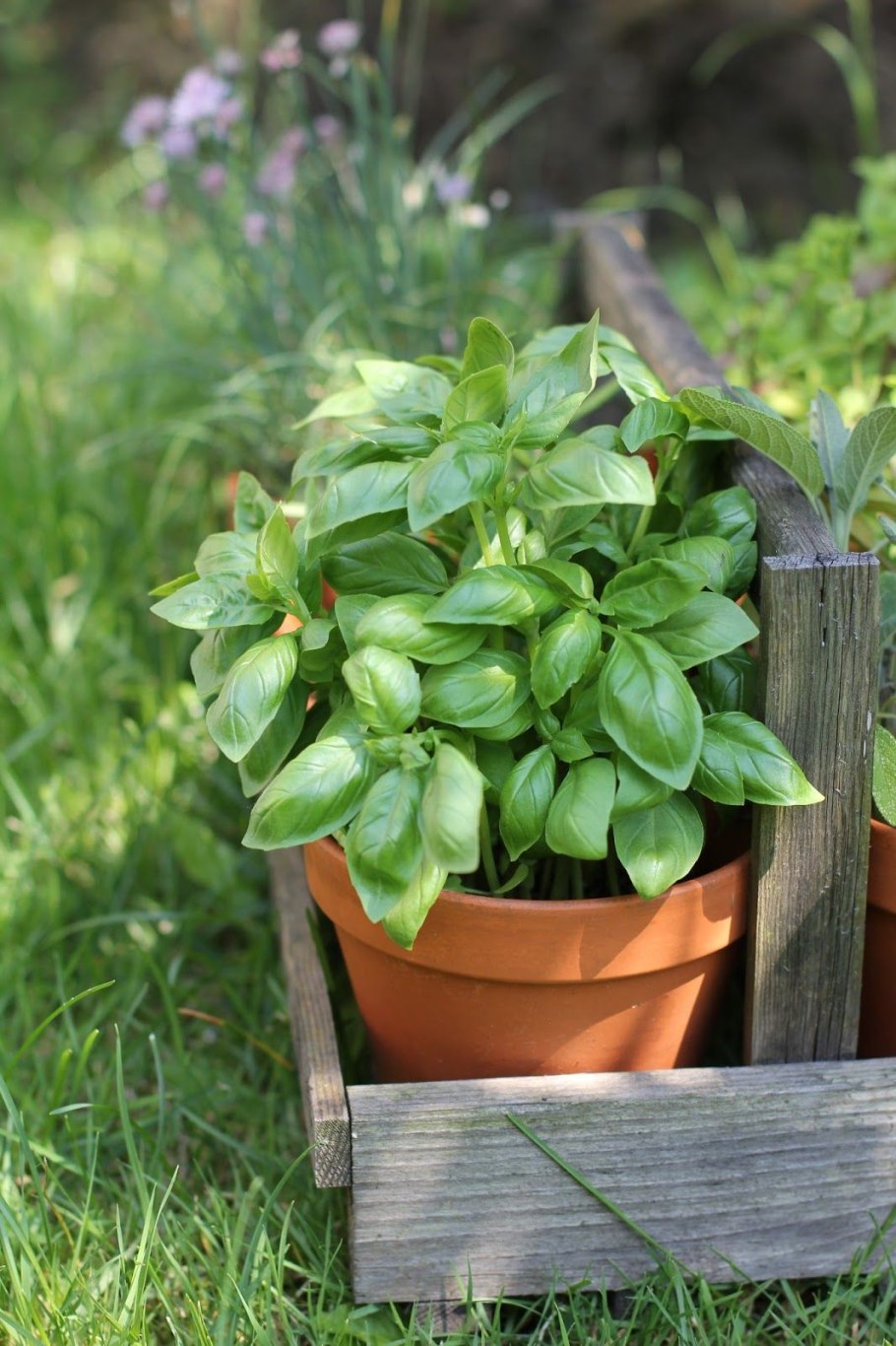 Гидропоника вертикальные грядки