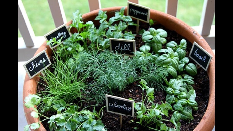 Посадка огорода