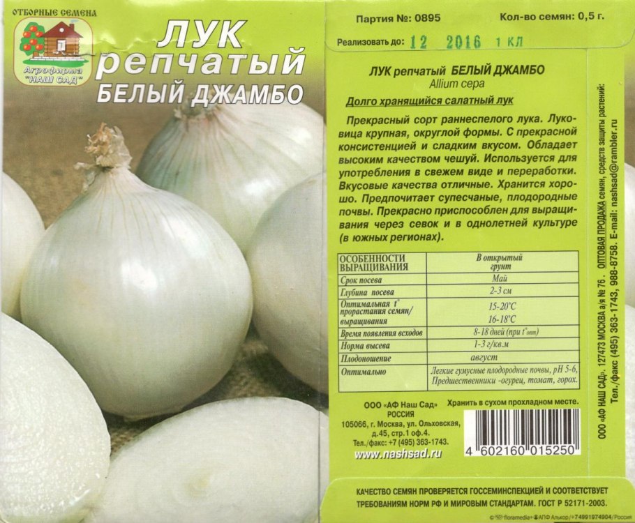 Лук белый джамбо семена
