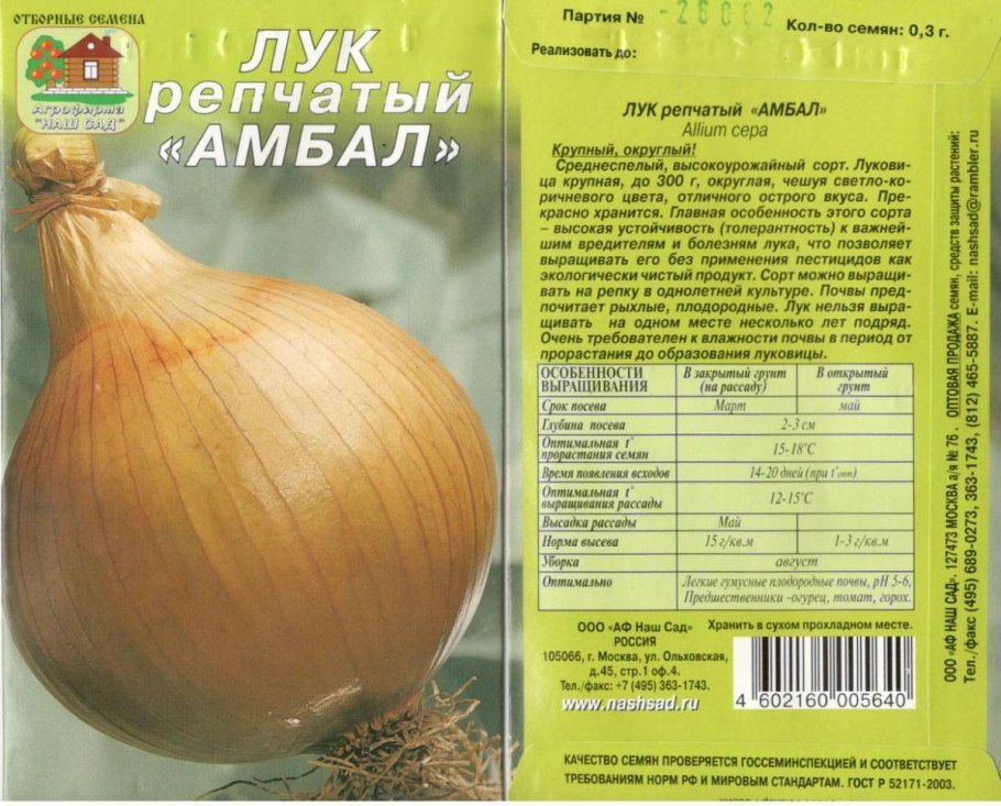 Белый лук салатный сорта