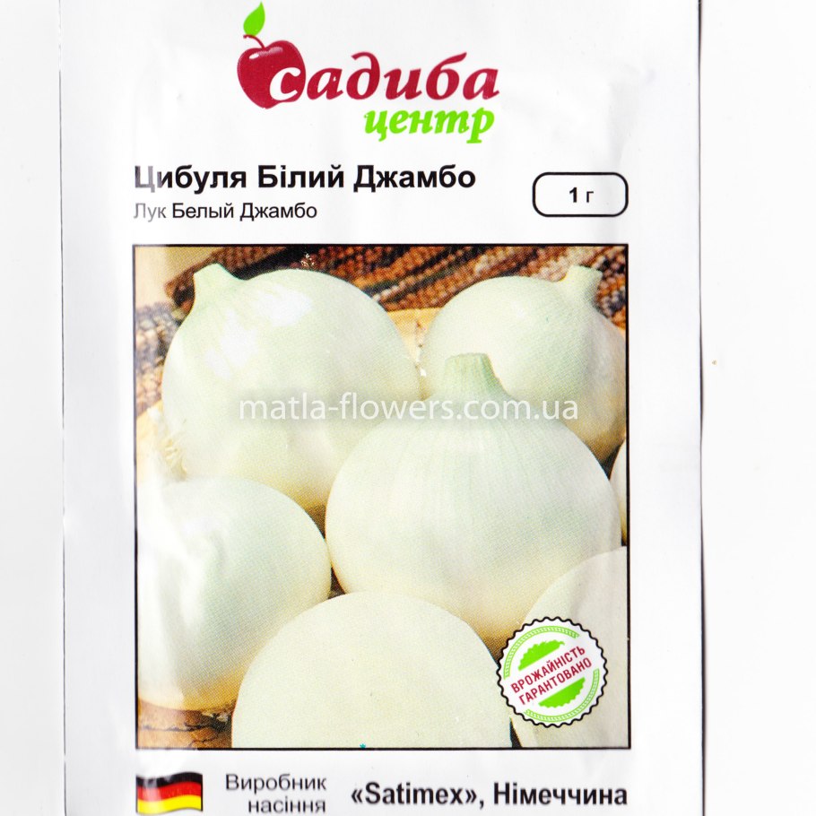 Белый плоский лук сорт