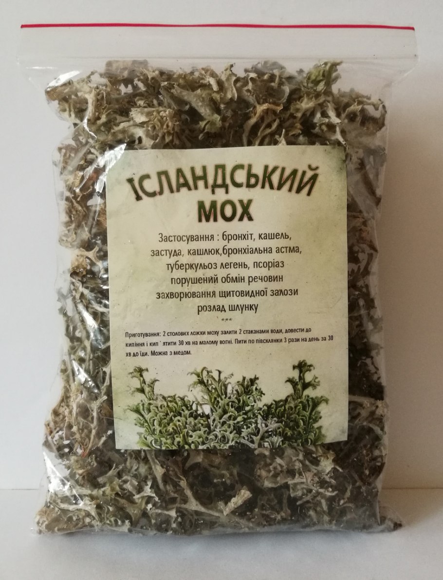 Ягель Олений мох