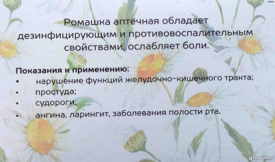 Ромашка аптечная и Ромашка Полевая