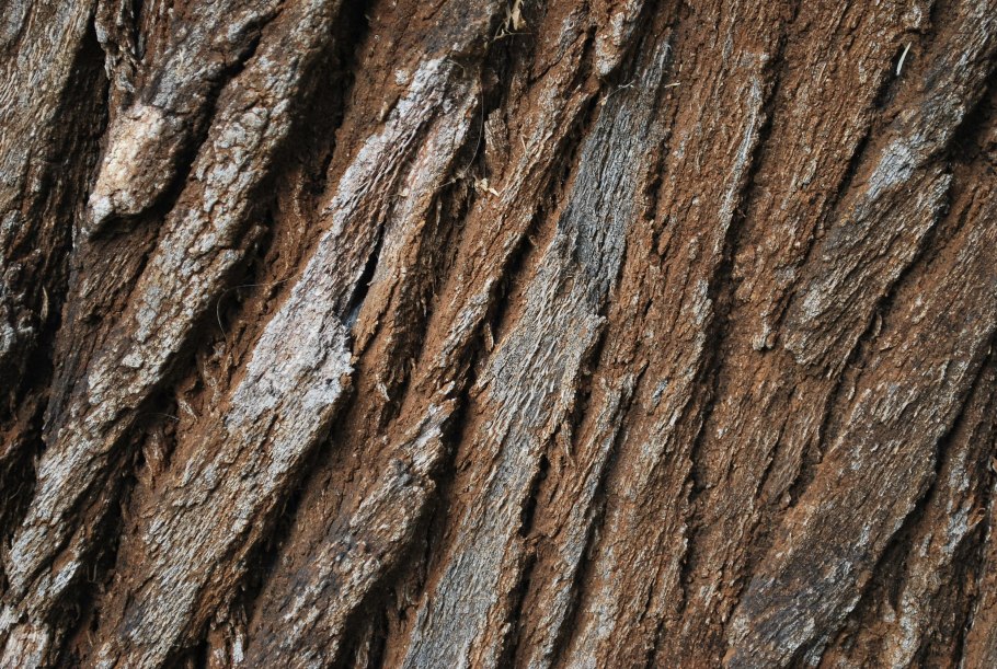 Кора от дерева