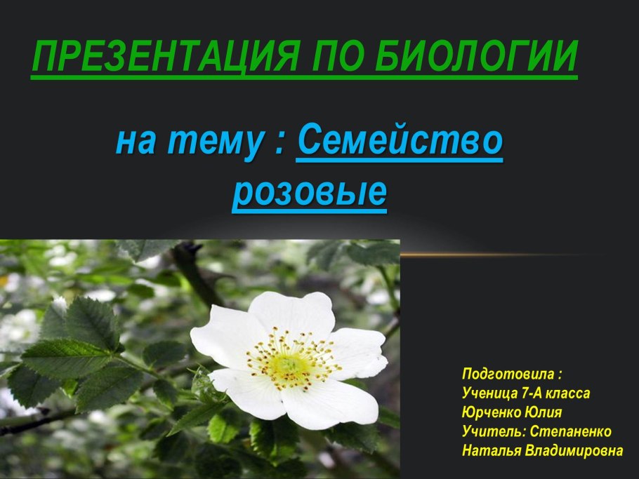 Темы для презентации по биологии