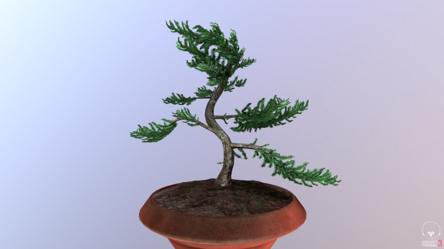 Дерево Бодхи бонсай