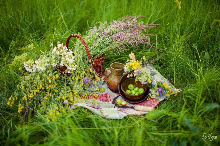 Дачный натюрморт