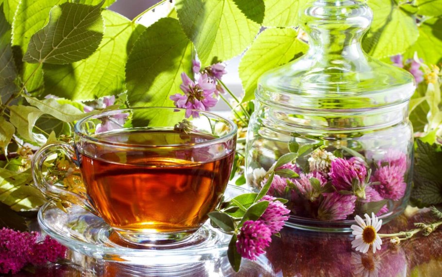 Иван чай с клевером