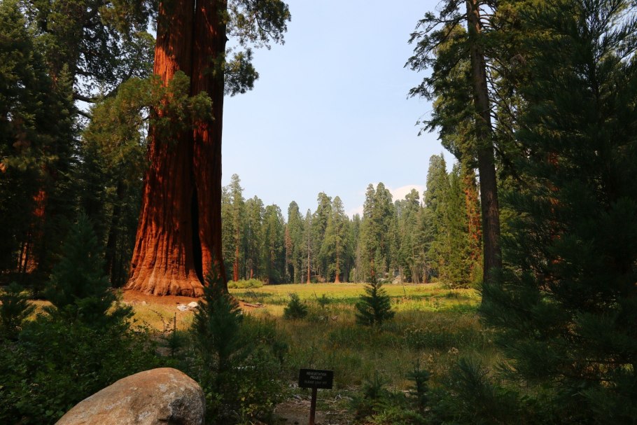 Парк Секвойя Калифорния