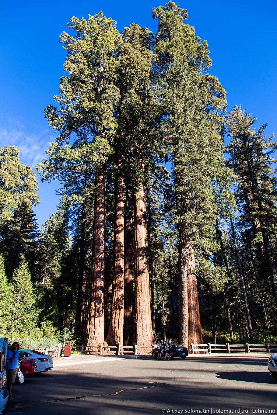 Национальный парк Секвойя Калифорния США