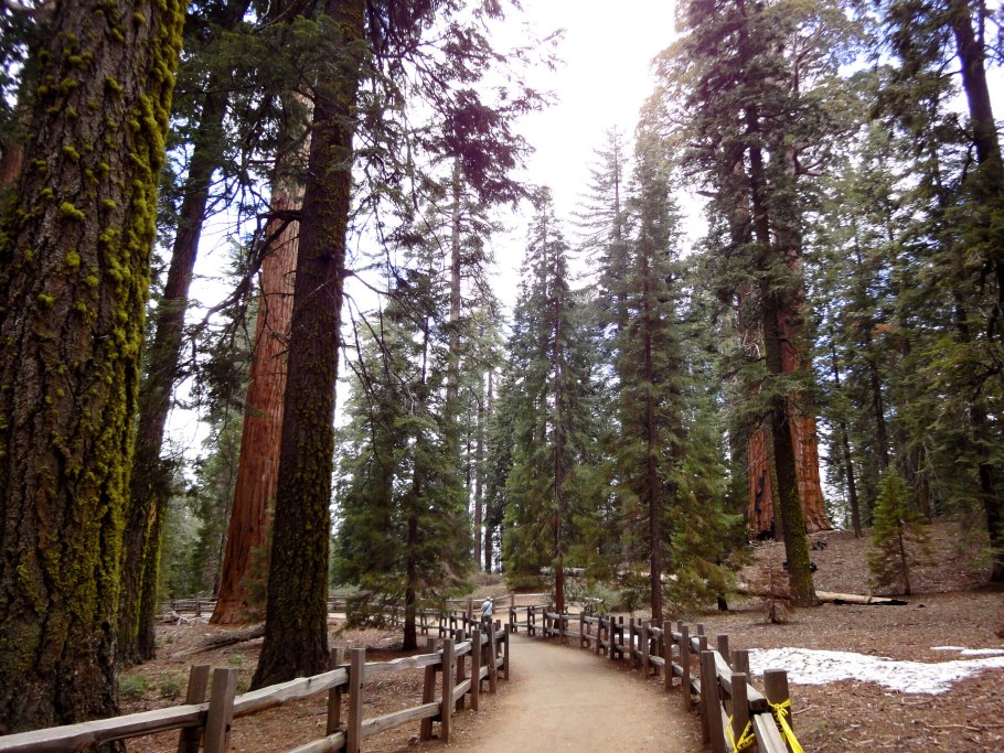 Девилс-Тауэр - башня дьявола