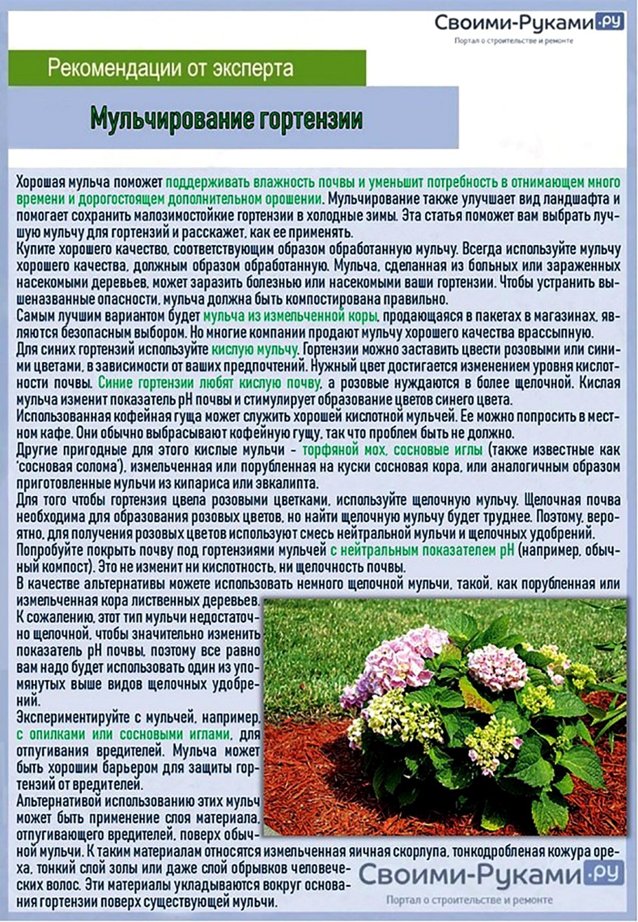 Кислотность почвы для гор