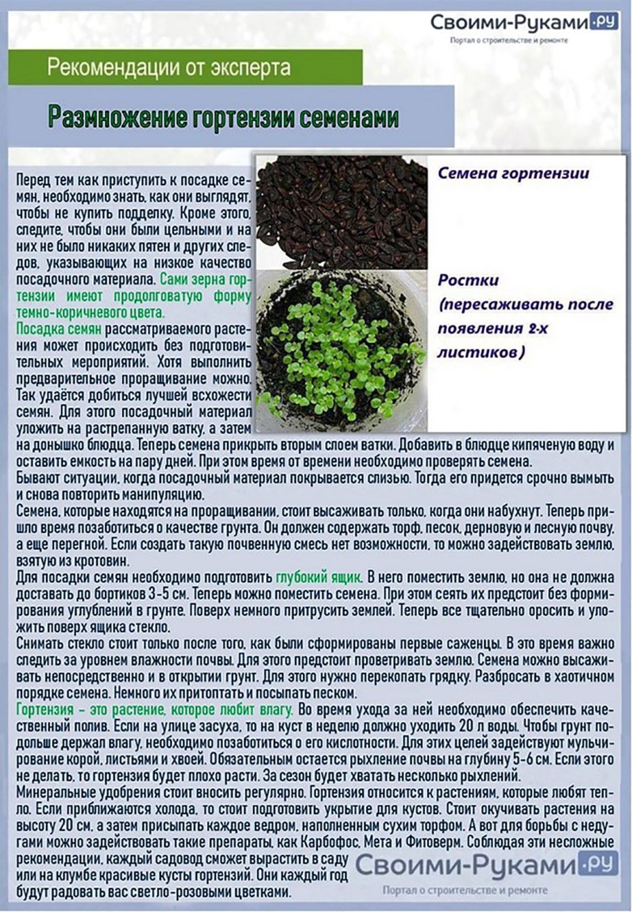 Органические удобрения помет перегной