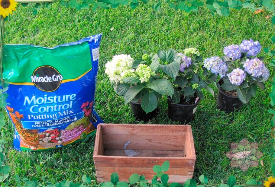 Готовая земля для гортензий