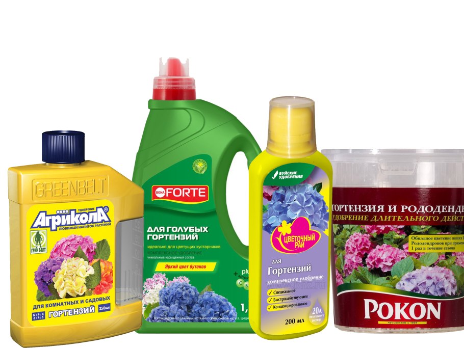 Удобрение для гортензий пышное цветение