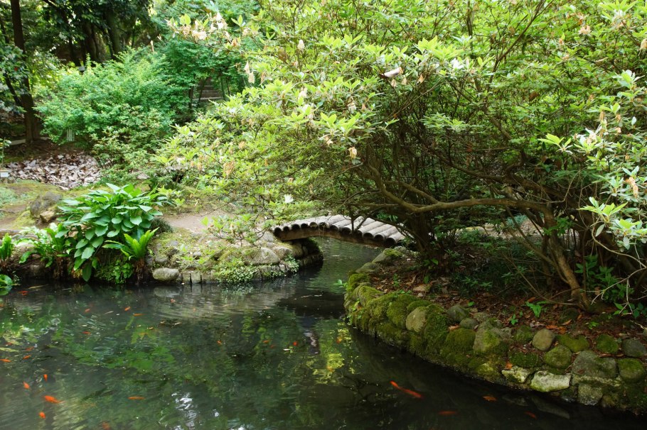 Батумский Ботанический сад