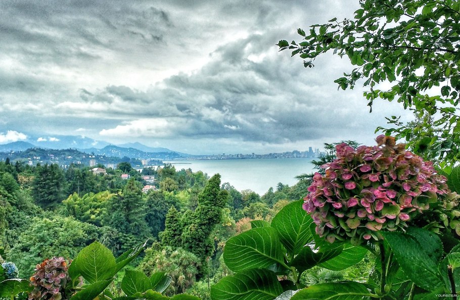 Ботанический сад Грузия