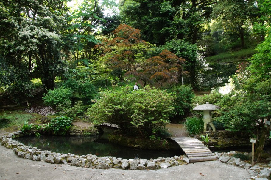 Ботанический сад Грузия Батуми