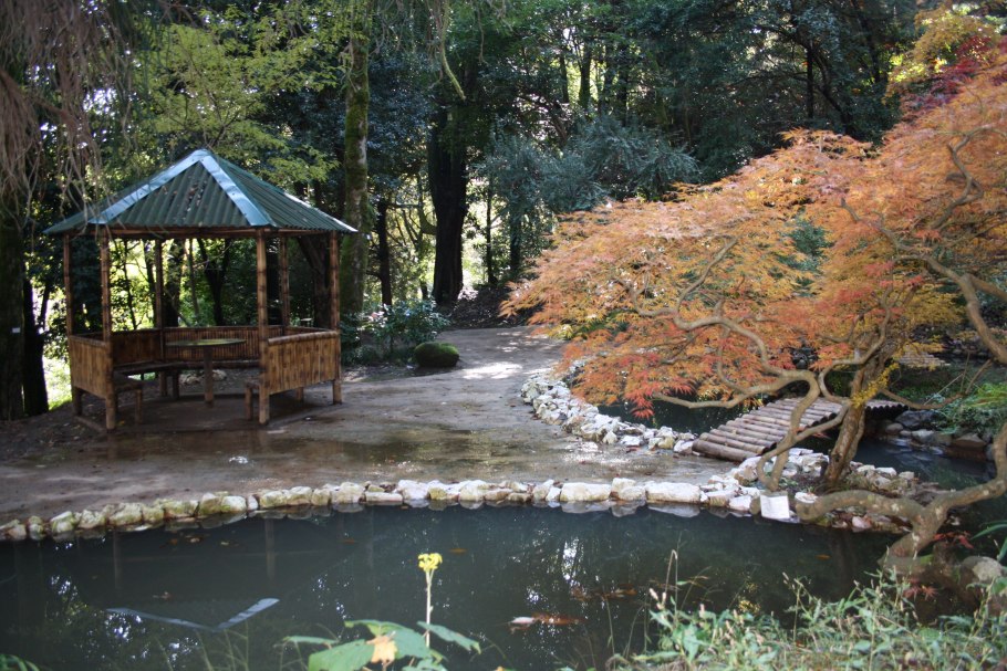 Botanical Garden hamma Алжир