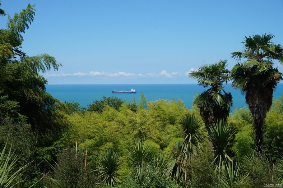 Парк в Батуми Ботанический сад