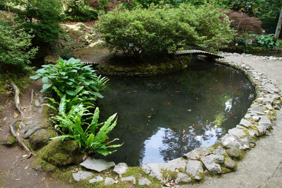 Батумский Ботанический сад Грузия