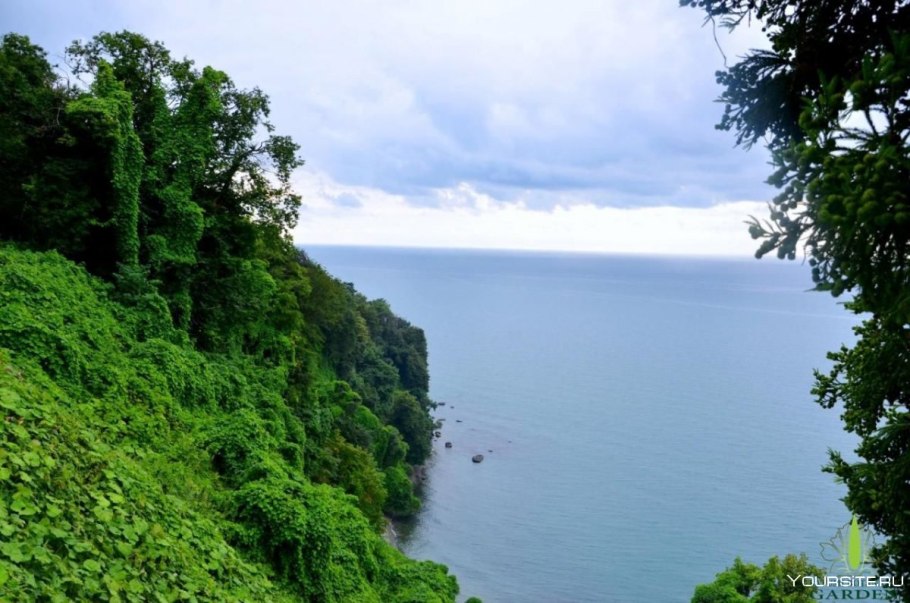 Батумский Ботанический сад Краснов