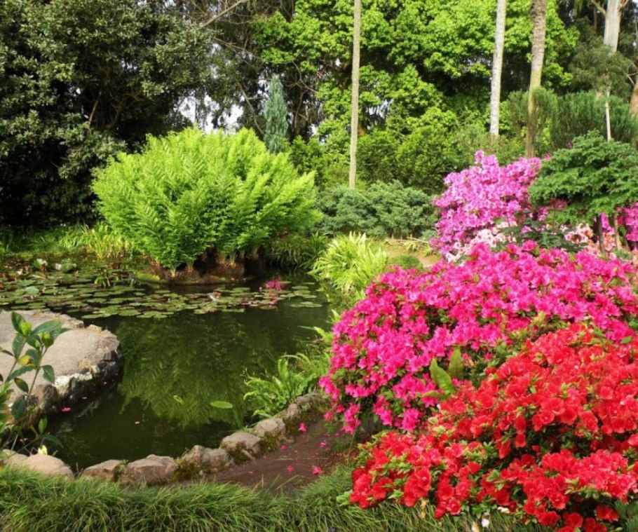 Ботанический сад Грузия Батуми