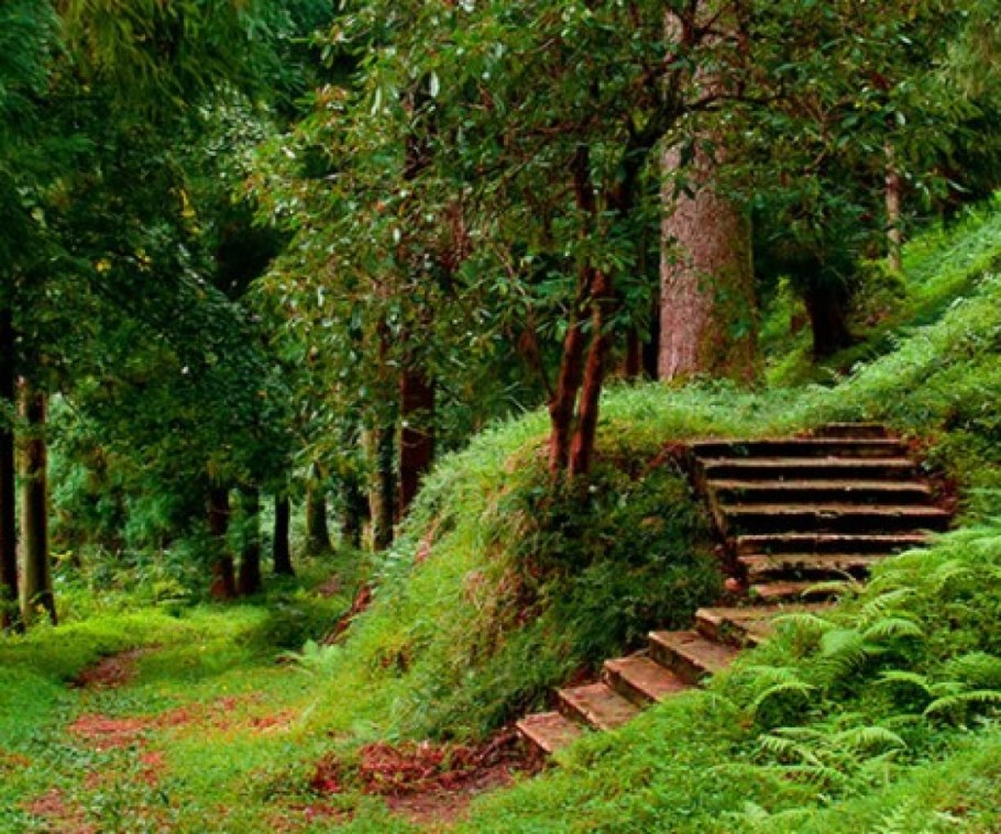 Грузинский Ботанический сад Батуми