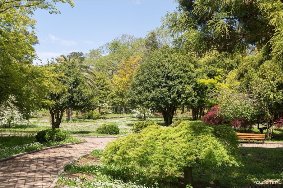 Ботанический сад Грузия Батуми
