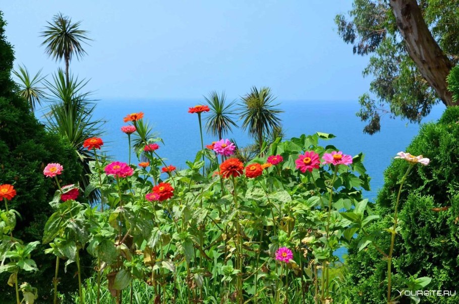 Ботанический сад Батуми Махинджаури