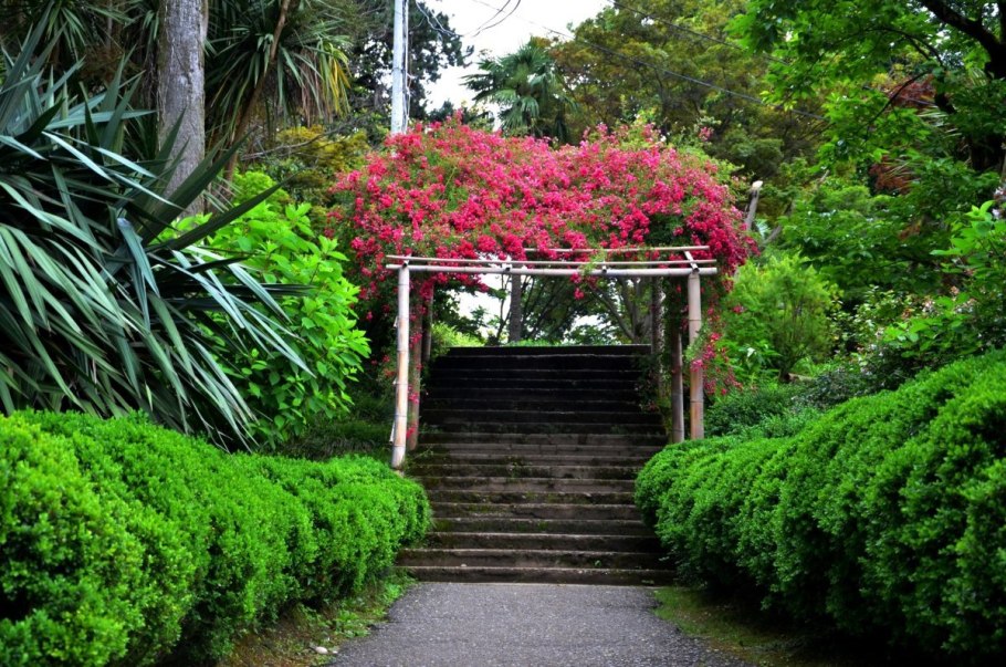 Дендрологический парк Батуми