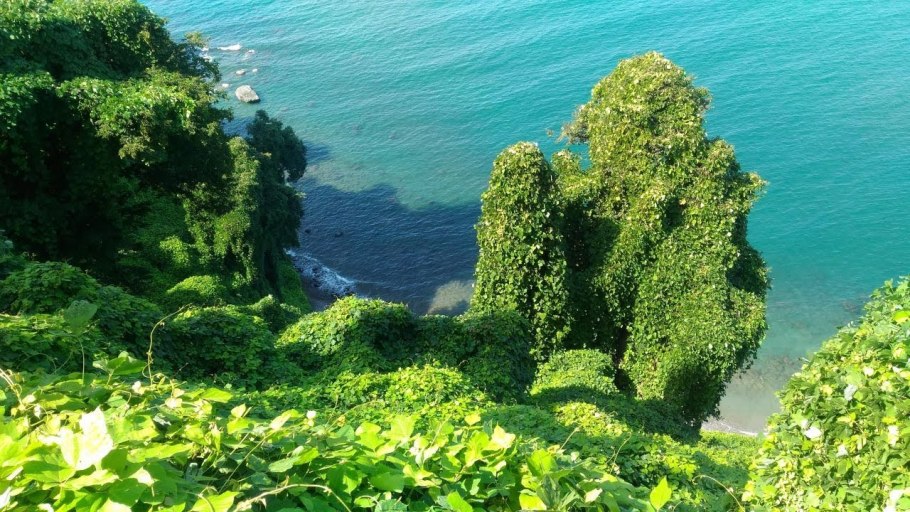 Бот сад Батуми море