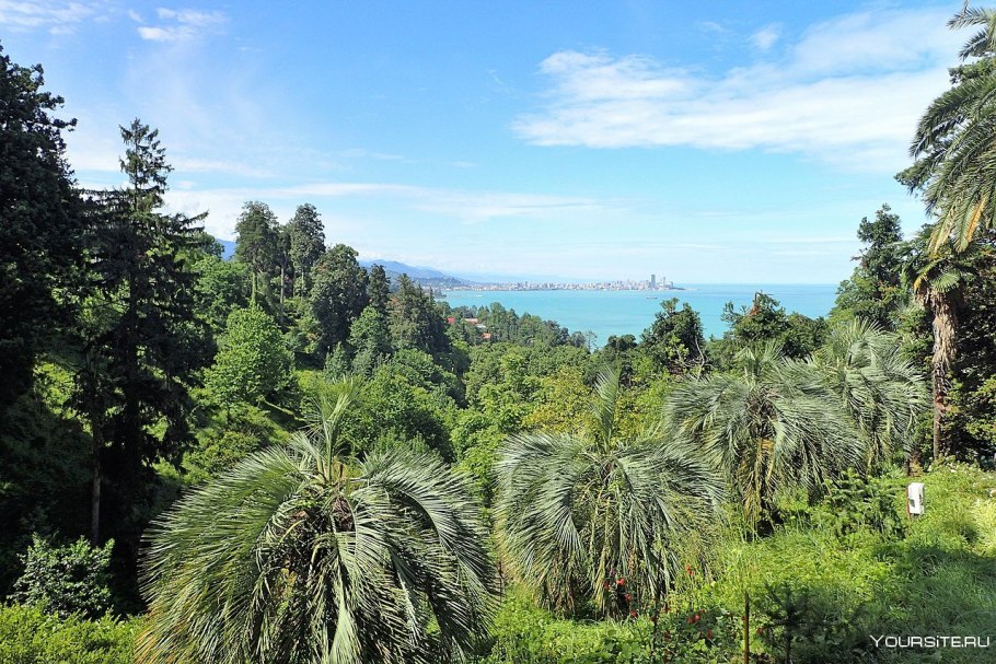 Батумский Ботанический сад