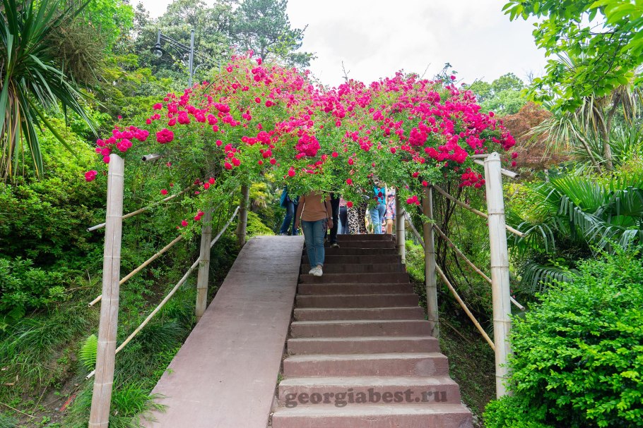 Махинджаури Ботанический сад