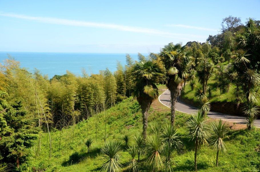 Махинджаури Ботанический сад