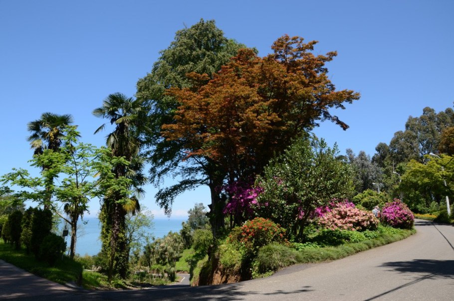 Японский сад Батуми